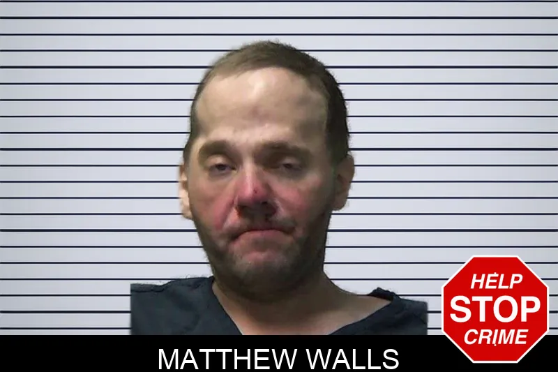 Matthew Walls mugshot – Gilmer County , Georgia Matthew Walls mugshot