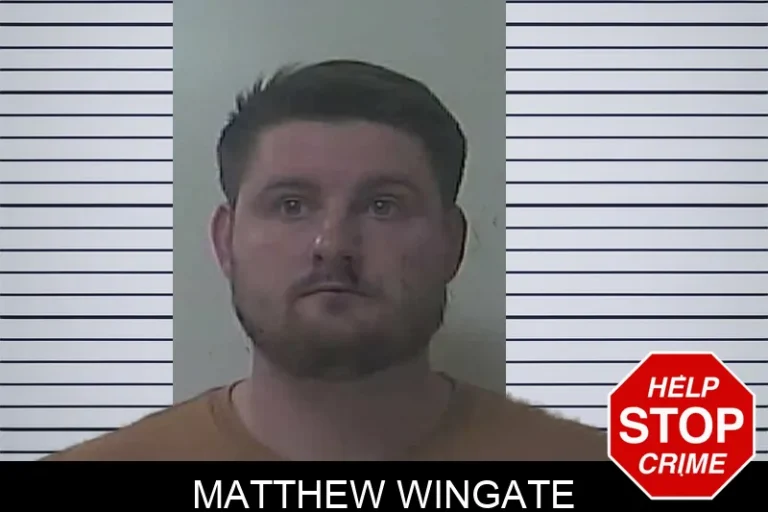 Matthew Wingate