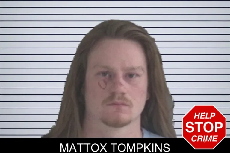 Mattox Tompkins