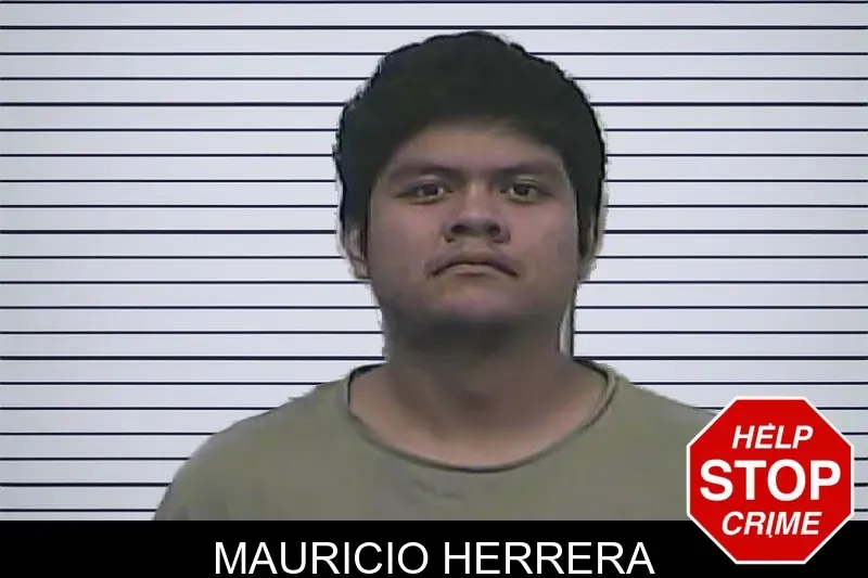 Mauricio Herrera mugshot