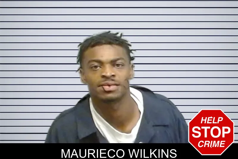 Maurieco Wilkins mugshot