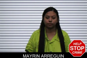 Mayrin Arreguin mugshot