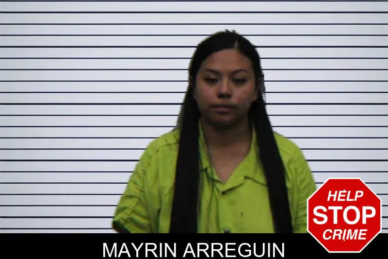 Mayrin Arreguin mugshot