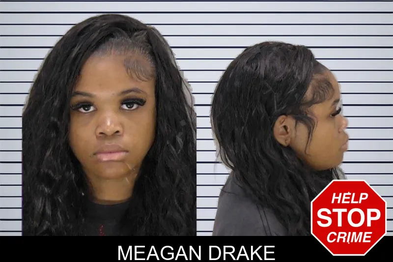 Meagan Drake mugshot