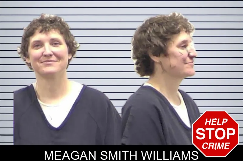 Meagan Smith Williams mugshot