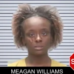 Meagan Williams mugshot