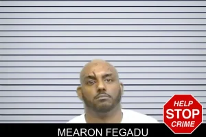 Mearon Fegadu mugshot