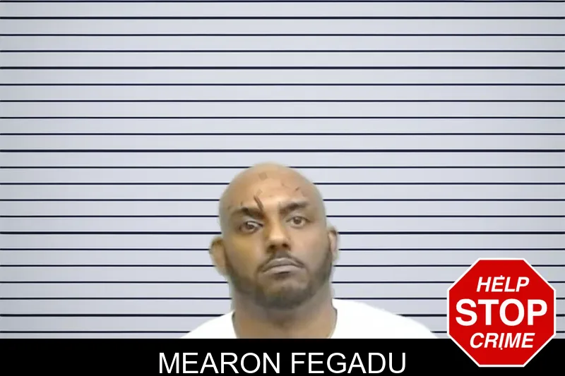 Mearon Fegadu mugshot