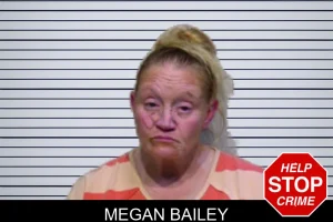 Megan Bailey mugshot