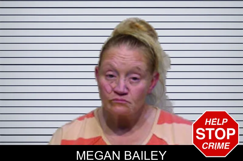 Megan Bailey mugshot – Bartow County , Georgia Megan Bailey mugshot