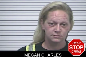Megan Charles mugshot