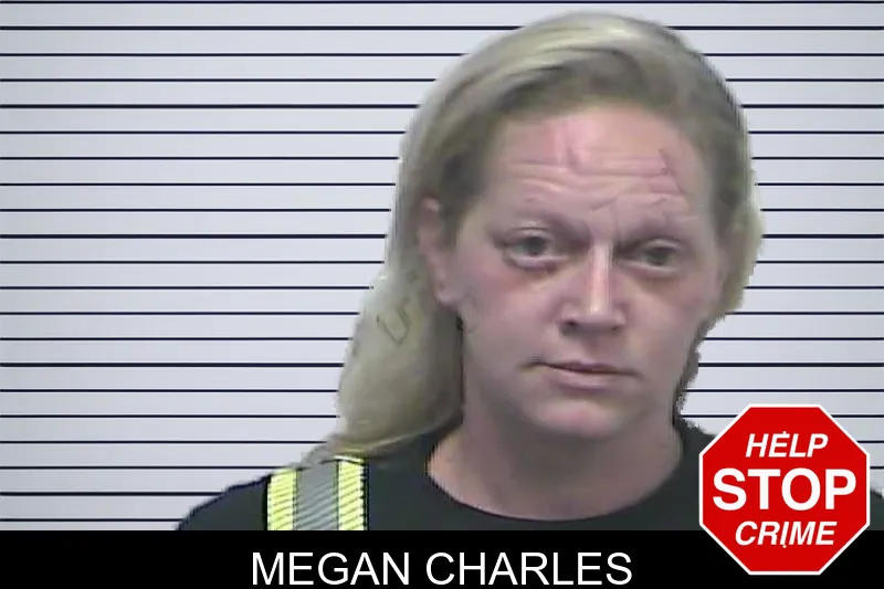 Megan Charles mugshot