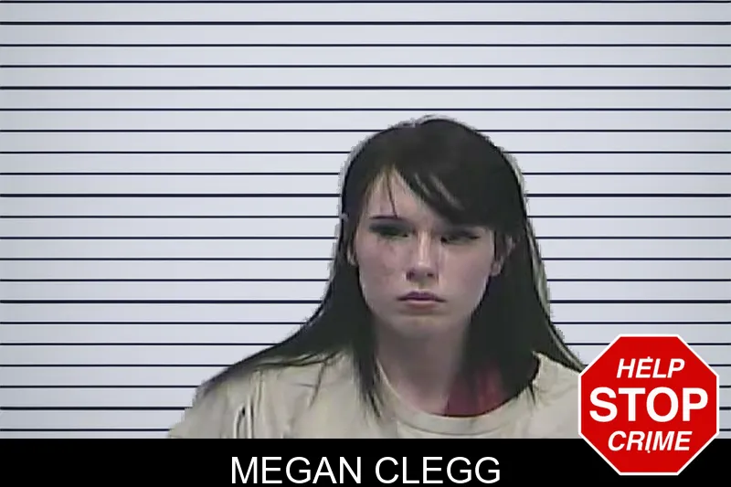 Megan Clegg mugshot