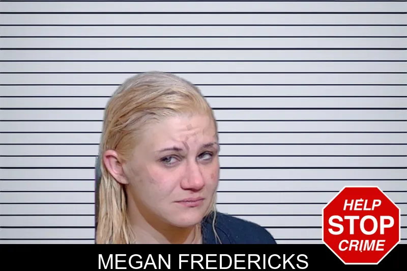 Megan Fredericks mugshot