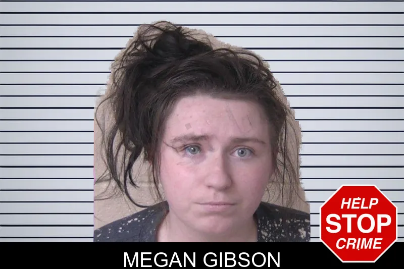 Megan Gibson mugshot