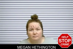 Megan Hethington mugshot