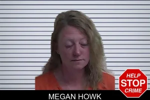 Megan Howk mugshot