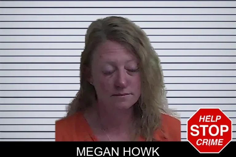 Megan Howk