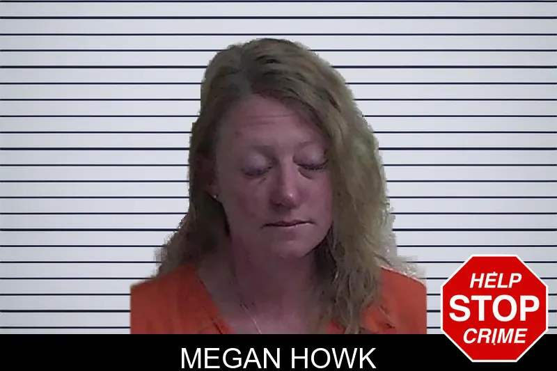Megan Howk mugshot
