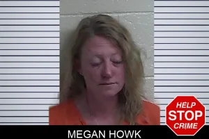 Megan Howk mugshot