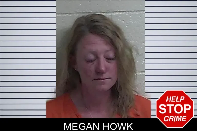 Megan Howk mugshot – Fannin County , Georgia Megan Howk