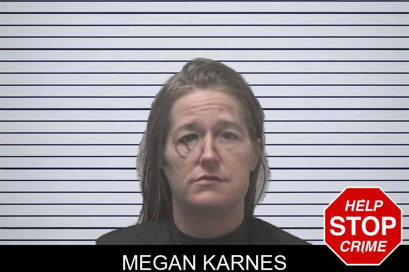 Megan Karnes mugshot