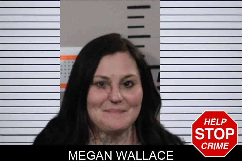 Megan Wallace mugshot