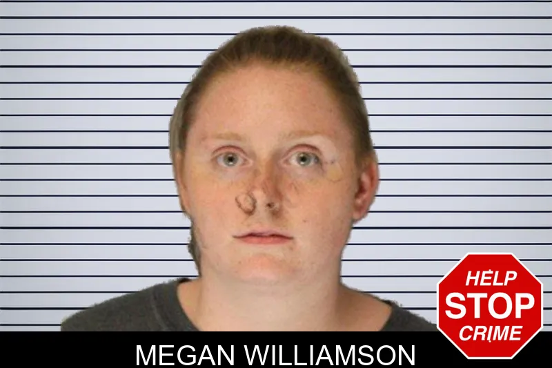 Megan Williamson mugshot – Hall County , Georgia Megan Williamson mugshot