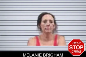 Melanie Brigham mugshot
