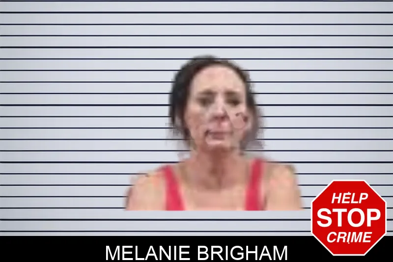 Melanie Brigham mugshot