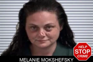 Melanie Mokshefsky mugshot