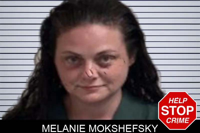 Melanie Mokshefsky mugshot
