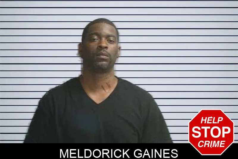 Meldorick Gaines mugshot