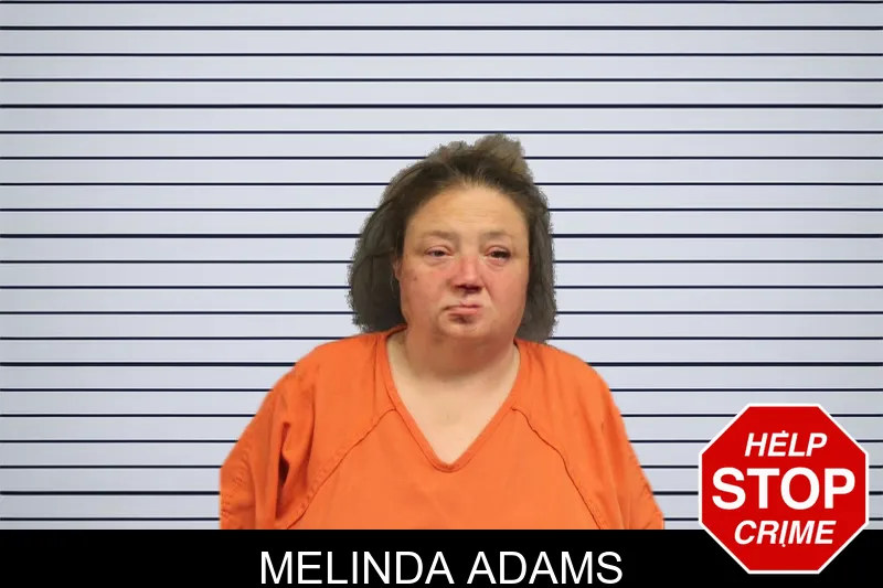 Melinda Adams mugshot
