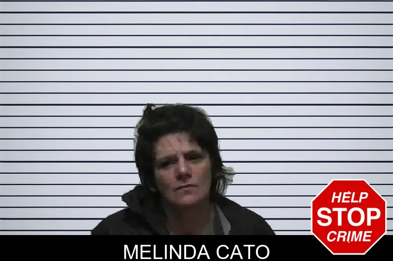 Melinda Cato mugshot