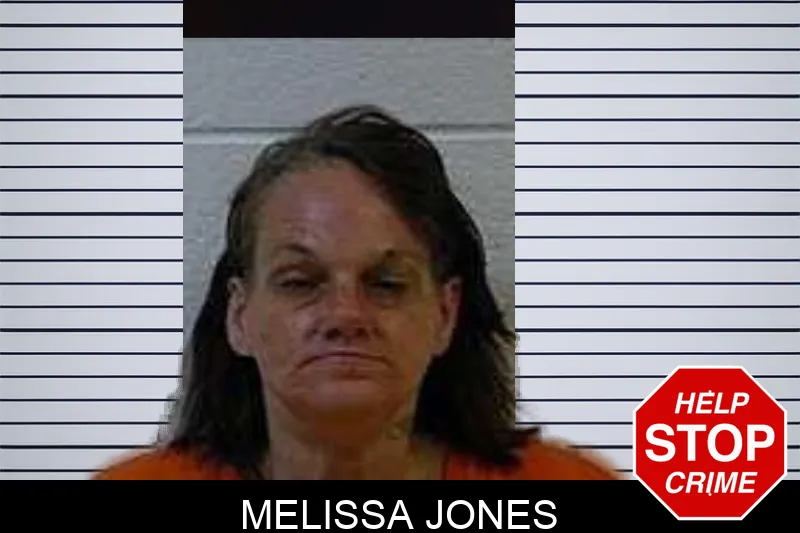 Melissa Jones mugshot – Polk County , Georgia Melissa Jones mugshot