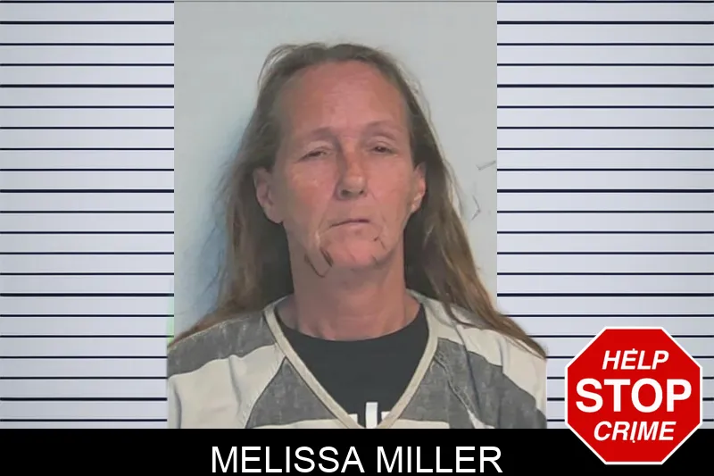 Melissa Miller mugshot – Berrien County , Georgia Melissa Miller mugshot