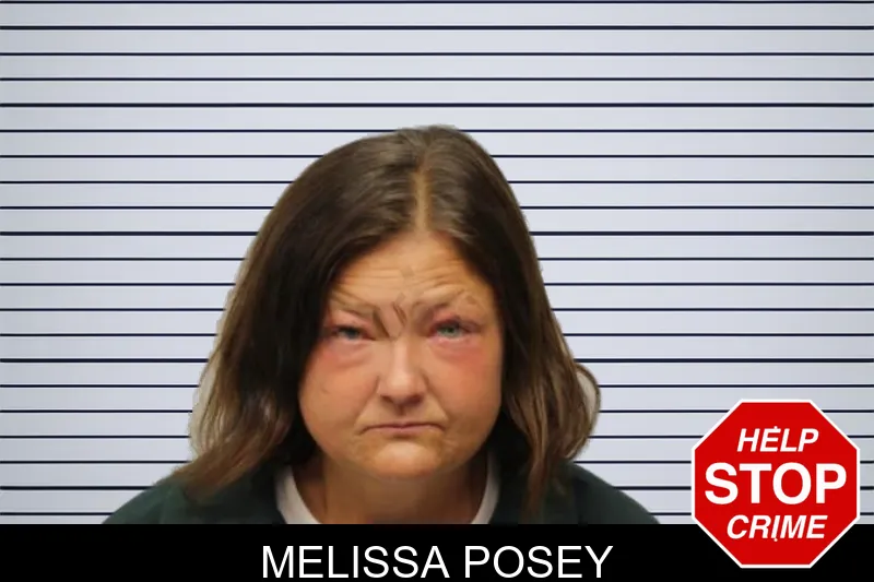 Melissa Posey mugshot