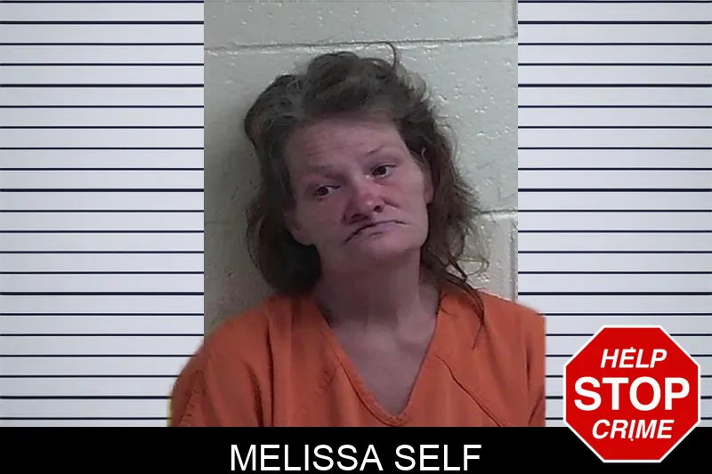Melissa Self mugshot – Fannin County , Georgia Melissa Self mugshot