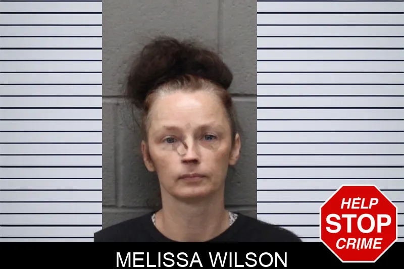 Melissa Wilson mugshot – Greene County , Georgia Melissa Wilson mugshot