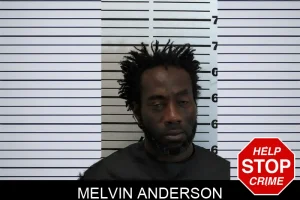 Melvin Anderson mugshot