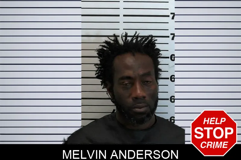 Melvin Anderson mugshot