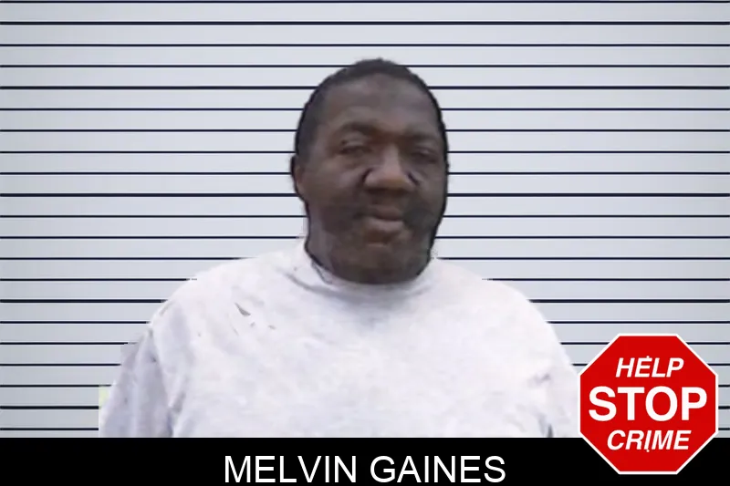 Melvin Gaines mugshot – Screven County , Georgia Melvin Gaines mugshot