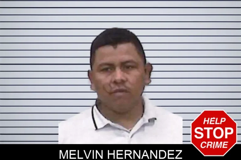 Melvin Hernandez
