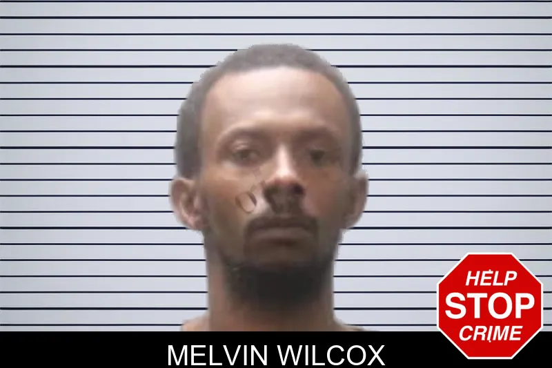 Melvin Wilcox mugshot
