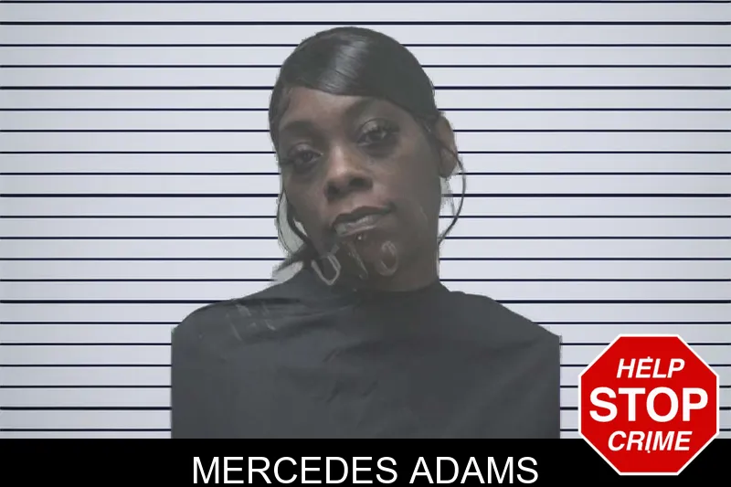 Mercedes Adams mugshot