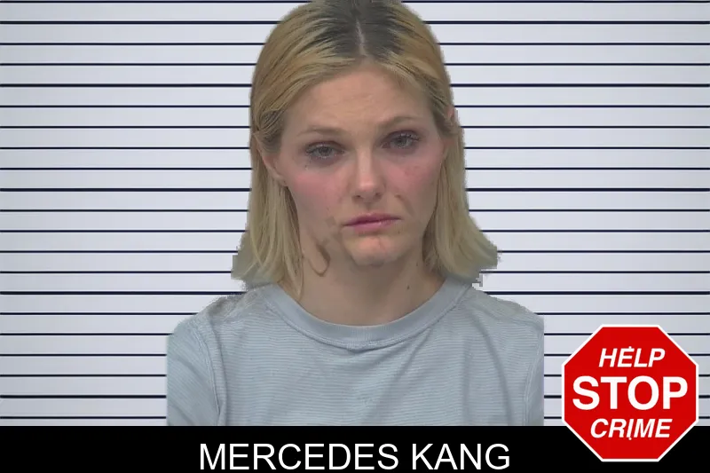 Mercedes Kang mugshot – Gwinnett County , Georgia Mercedes Kang mugshot