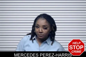 Mercedes Perez-Harris mugshot