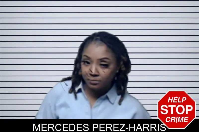 Mercedes Perez-Harris mugshot