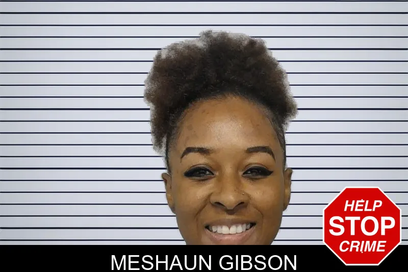 Meshaun Gibson mugshot